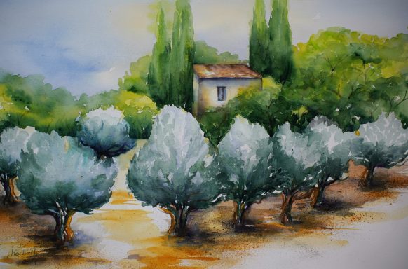 Olivenhain Nr.9 Aquarell eines Olivenhaines in der Toskana