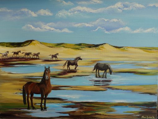 Pferde am Watt Nr.135 80x60 Wildpferde am Strand im Watt- ein Anblick, der Freiheit mit Schönheit verbindet.