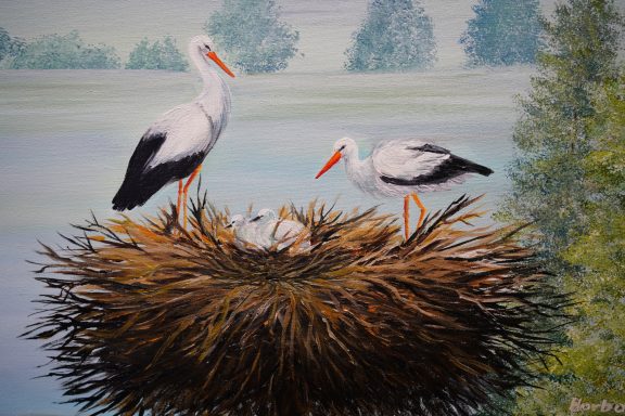 Storchennest Nr.136 70x50 Störche behüten ihre Jungen im Storchennest, ein Anblick in der Tierwelt, der immer wieder fasziniert.