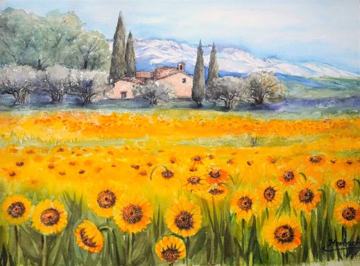 Sonnenblumen Nr.30 AQ